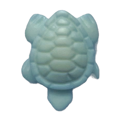 Schildpad Blauw